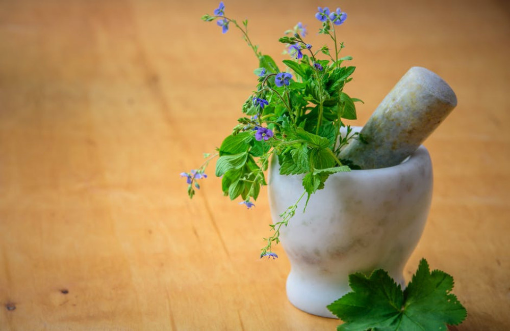 Wat zijn de meest geschikte kruidenplanten voor huisdieren?