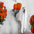 Halloween speelgoed voor je hond: zo laat je hem lekker meegriezelen